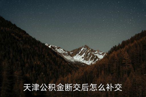 天津市公積金補(bǔ)交，天津住房公積金可以進(jìn)行個(gè)人補(bǔ)繳嗎