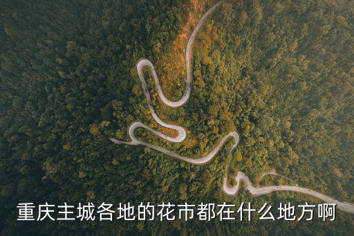 重慶主城各地的花市都在什么地方啊