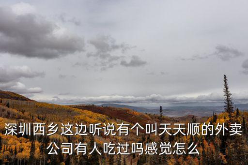 深圳新屋村外賣，深圳外賣宅食代的服務(wù)怎么樣