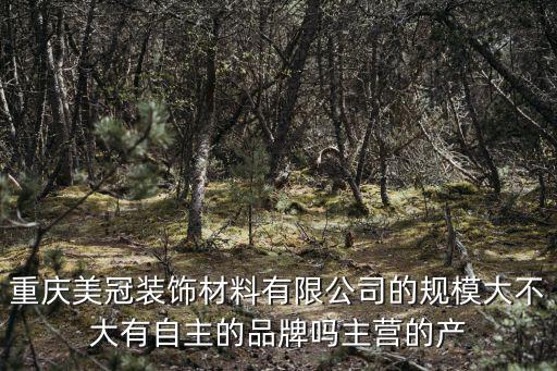 重慶美冠裝飾材料有限公司的規模大不大有自主的品牌嗎主營的產