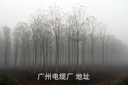 廣州電纜廠 地址