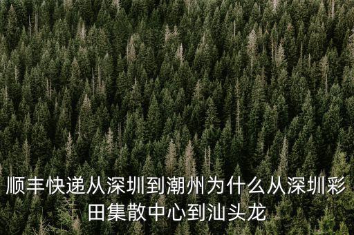 深圳彩田集散中心在哪個區，順豐深圳集散中心是個什么樣的地方啊