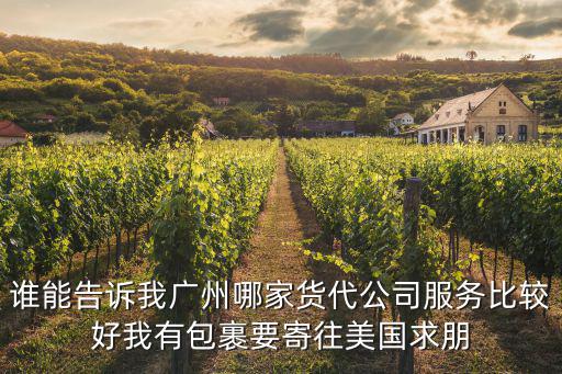 誰能告訴我廣州哪家貨代公司服務(wù)比較好我有包裹要寄往美國求朋