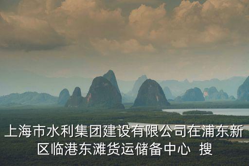上海市水利集團建設有限公司在浦東新區臨港東灘貨運儲備中心  搜