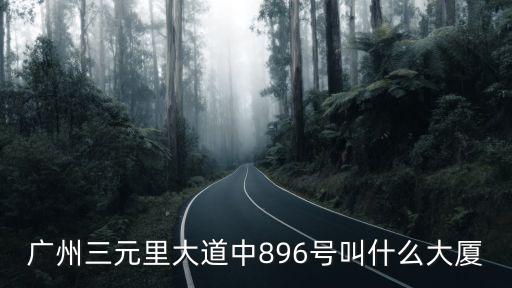 廣州三元里大道中896號叫什么大廈