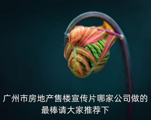廣州市房地產售樓宣傳片哪家公司做的最棒請大家推薦下
