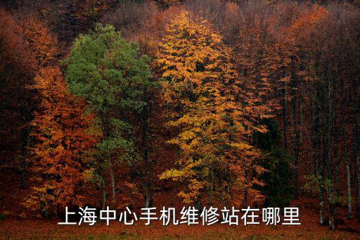 上海市裝備中心，上海中心手機維修站在哪里