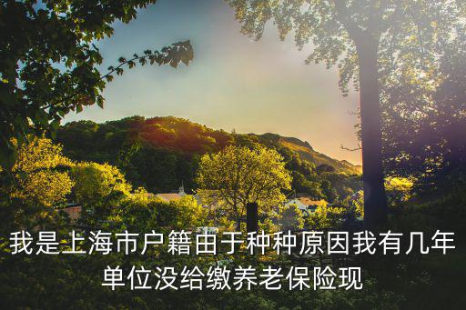 我是上海市戶籍由于種種原因我有幾年單位沒給繳養(yǎng)老保險現(xiàn)