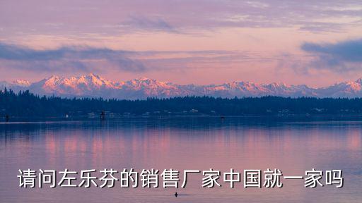 廣州珈然貿易有限公司 趙定生，請問左樂芬的銷售廠家中國就一家嗎