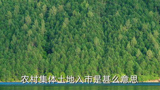 農村集體土地入市是甚么意思
