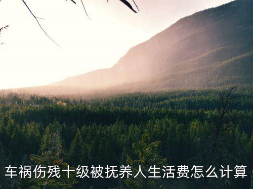 車禍傷殘十級被撫養人生活費怎么計算