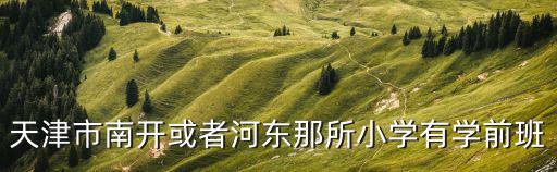 天津市南開或者河東那所小學有學前班