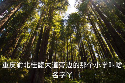 重慶市渝北金渝小學，重慶渝北桂馥大道旁邊的那個小學叫啥名字丫