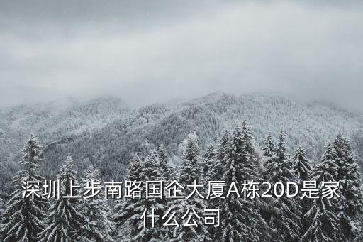 深圳上步南路國(guó)企大廈A棟20D是家什么公司