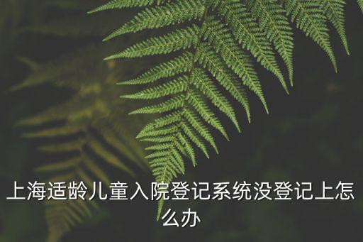 上海適齡兒童入院登記系統沒登記上怎么辦