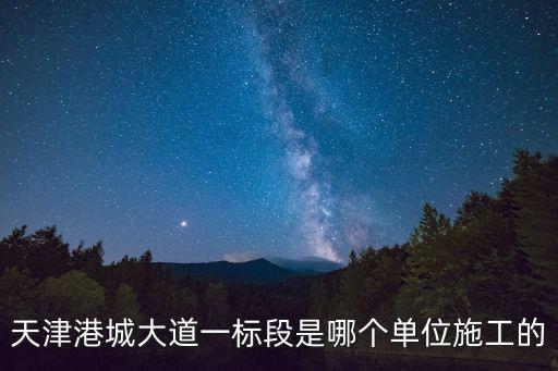 天津市大佑公路工程有限公司，天津港城大道一標段是哪個單位施工的