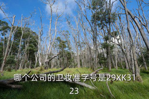 哪個公司的衛(wèi)妝準(zhǔn)字號是29XK3123
