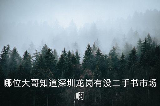 哪位大哥知道深圳龍崗有沒二手書市場啊