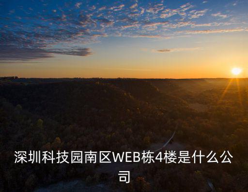 深圳科技園南區(qū)WEB棟4樓是什么公司
