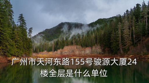 廣州市天河東路155號駿源大廈24樓全層是什么單位