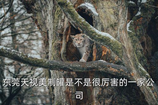 東莞天視美制罐是不是很厲害的一家公司