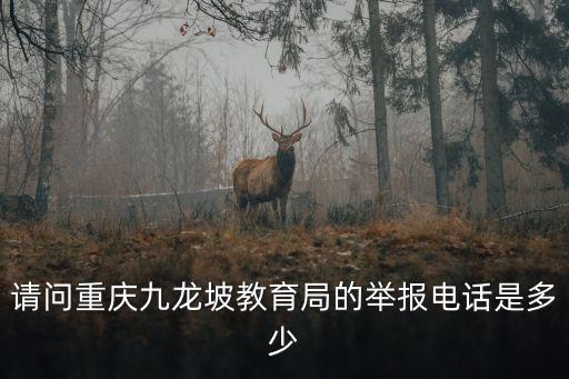 請問重慶九龍坡教育局的舉報電話是多少