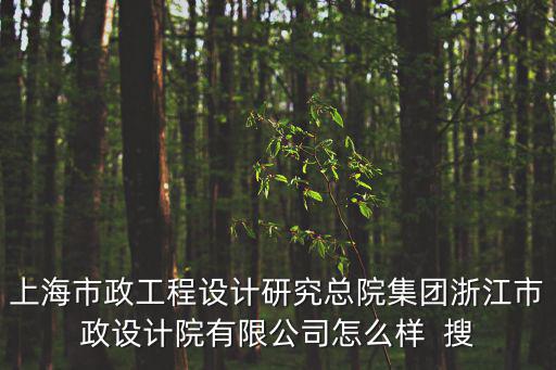 上海市政總院溫州分公司，上海市政工程設(shè)計(jì)研究總院集團(tuán)浙江市政設(shè)計(jì)院有限公司怎么樣  搜