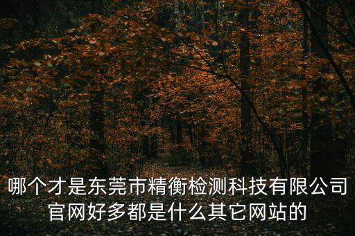 哪個(gè)才是東莞市精衡檢測科技有限公司官網(wǎng)好多都是什么其它網(wǎng)站的