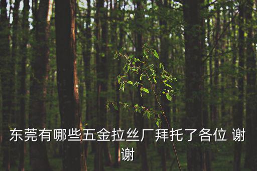 東莞有哪些五金拉絲廠拜托了各位 謝謝
