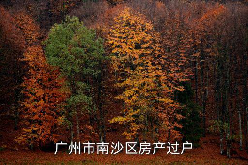 廣州市南沙區房產過戶