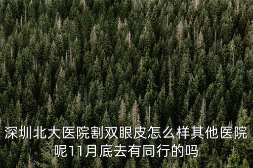 深圳北大醫院割雙眼皮怎么樣其他醫院呢11月底去有同行的嗎