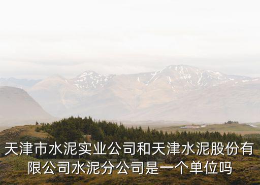 天津市水泥基金，那幾個基金有冀東水泥