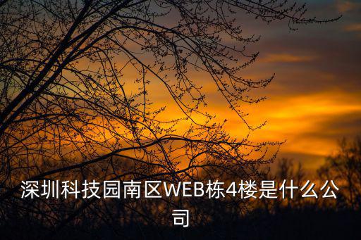 深圳科技園南區WEB棟4樓是什么公司