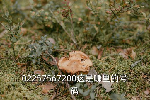 02257567200這是哪里的號碼