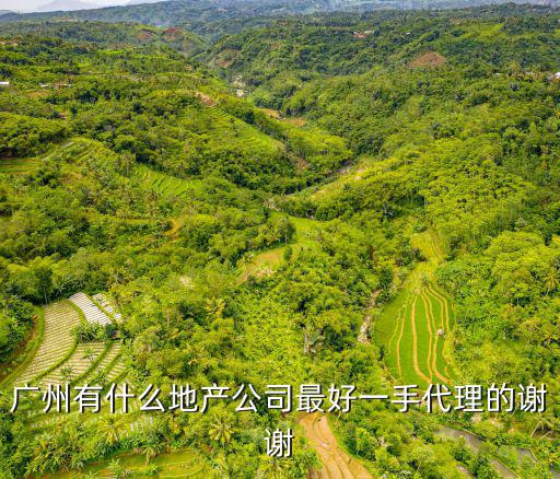 廣州有什么地產(chǎn)公司最好一手代理的謝謝