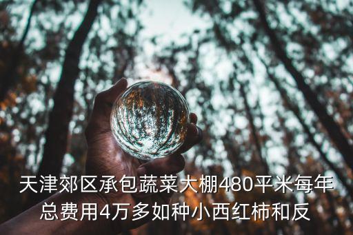 天津郊區承包蔬菜大棚480平米每年總費用4萬多如種小西紅柿和反