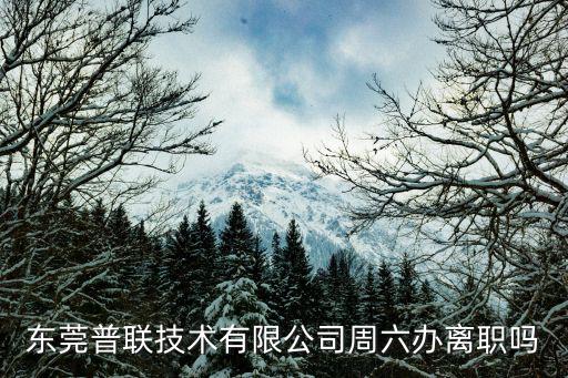東莞普聯(lián)技術(shù)有限公司周六辦離職嗎
