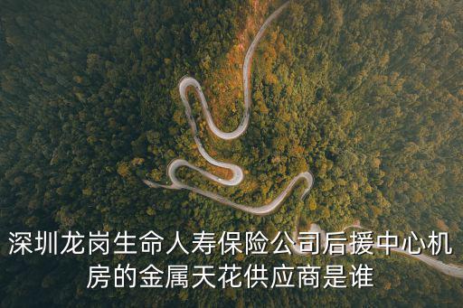 深圳龍崗生命人壽保險公司后援中心機房的金屬天花供應商是誰