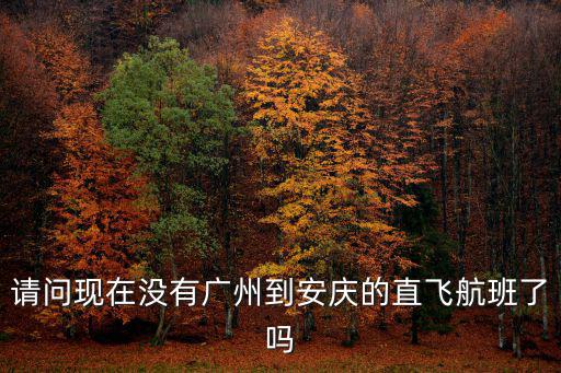 請問現在沒有廣州到安慶的直飛航班了嗎