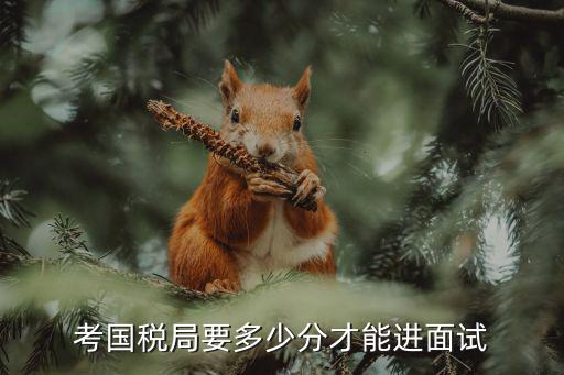 考國稅局要多少分才能進面試