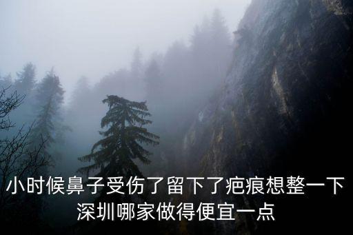 小時候鼻子受傷了留下了疤痕想整一下深圳哪家做得便宜一點