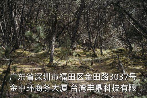 廣東省深圳市福田區金田路3037號金中環商務大廈 臺灣豐鼎科技有限