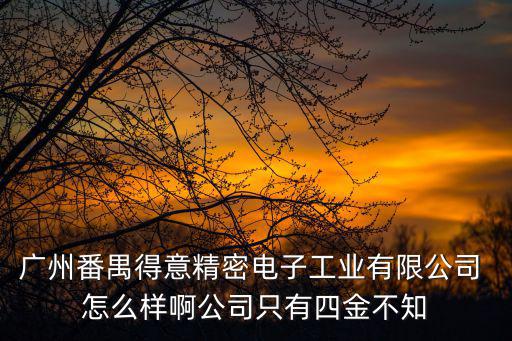 廣州番禺得意精密電子工業(yè)有限公司 怎么樣啊公司只有四金不知