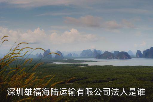 深圳雄福海陸運(yùn)輸有限公司法人是誰