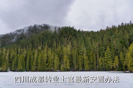成都市2018年轉業士兵安置，成都市轉業安置政策