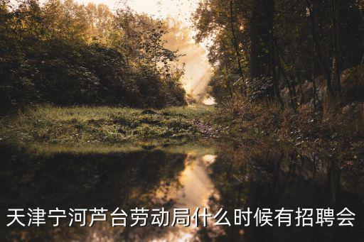 天津市寧河縣勞動局，我在寧河縣海北鎮工作不發工資我該找那個勞動局