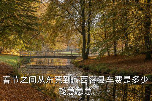 春節(jié)之間從東莞到廣西容縣車費(fèi)是多少錢急急急