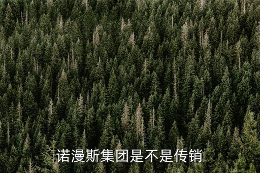 諾漫斯集團是不是傳銷