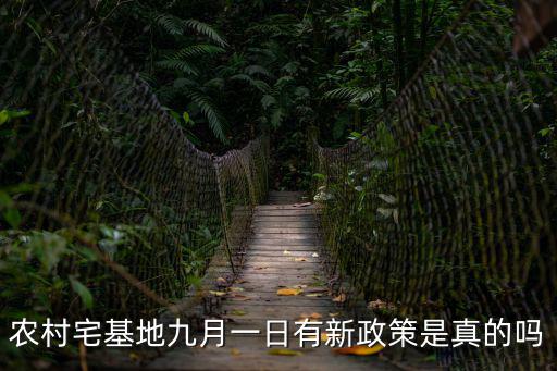 農村宅基地九月一日有新政策是真的嗎