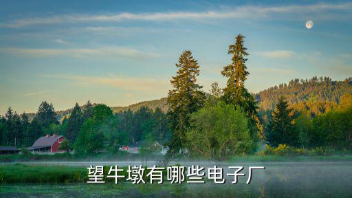 望牛墩有哪些電子廠